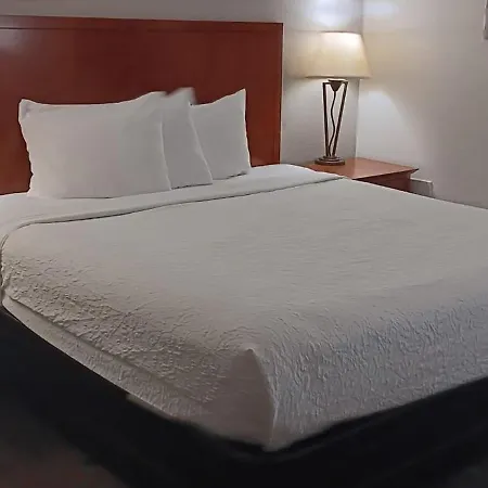 Quality Inn St Paul-Minneapolis-Midway-3